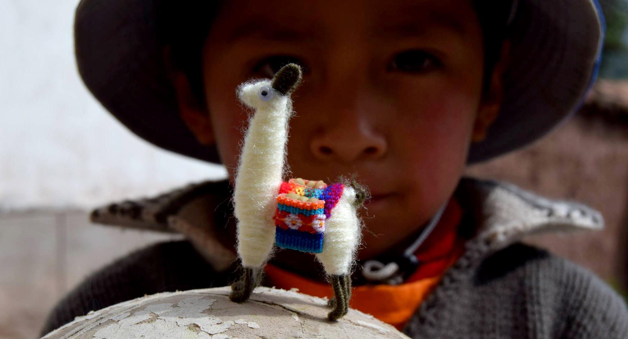 Boy that's looking at a lama