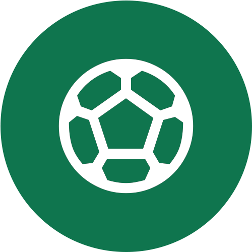 Organising activities icon