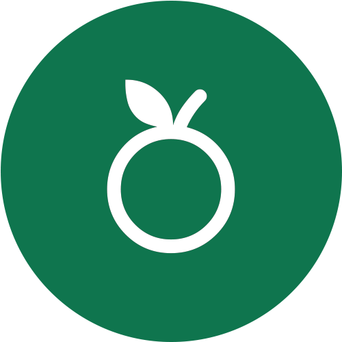 Healthy food icon